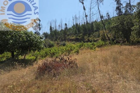 Helårsgrund i Ourem, Santarem, Ourem - € 39.000 | Ref: TER_767 - foto 4