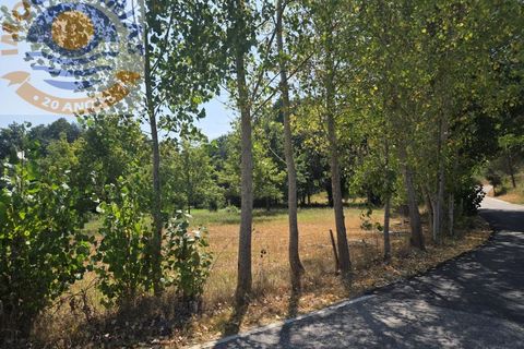 Helårsgrund i Ourem, Santarem, Ourem - € 39.000 | Ref: TER_767 - foto 5