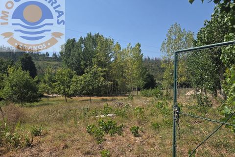 Helårsgrund i Ourem, Santarem, Ourem - € 39.000 | Ref: TER_767 - foto 6