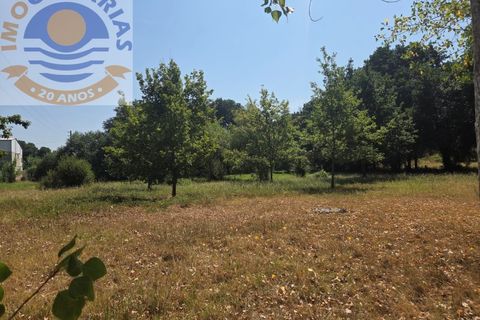 Helårsgrund i Ourem, Santarem, Ourem - € 39.000 | Ref: TER_767 - foto 8