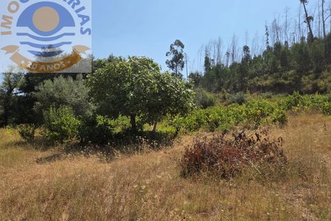 Helårsgrund i Ourem, Santarem, Ourem - € 39.000 | Ref: TER_767 - foto 9