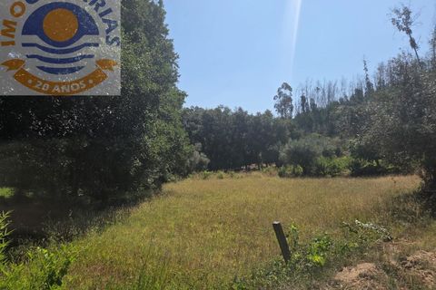 Helårsgrund i Ourem, Santarem, Ourem - € 39.000 | Ref: TER_767 - foto 10