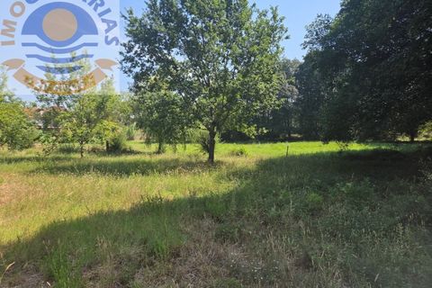Helårsgrund i Ourem, Santarem, Ourem - € 39.000 | Ref: TER_767 - foto 11