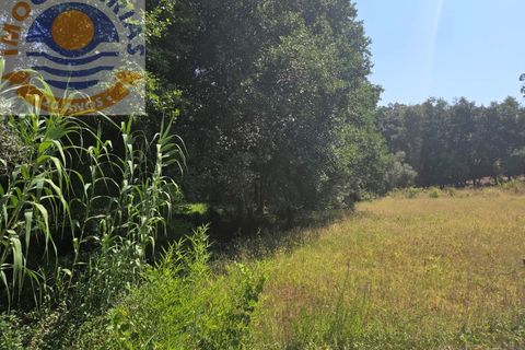 Helårsgrund i Ourem, Santarem, Ourem - € 39.000 | Ref: TER_767 - foto 12