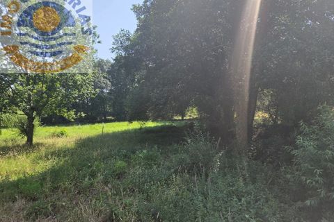 Helårsgrund i Ourem, Santarem, Ourem - € 39.000 | Ref: TER_767 - foto 14