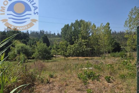 Helårsgrund i Ourem, Santarem, Ourem - € 39.000 | Ref: TER_767 - foto 15