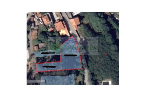 Helårsgrund i Sever do Vouga, Aveiro, Sever do Vouga - € 17.000 | Ref: TER_1769 - foto 10