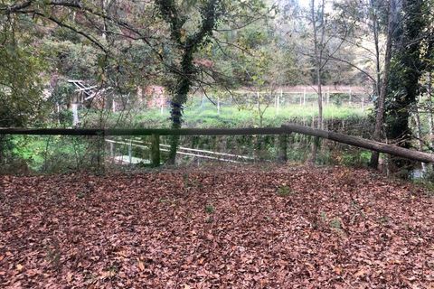 Villa i Sever do Vouga, Aveiro, Sever do Vouga - € 245.000 | Ref: CAS_1768 - foto 10