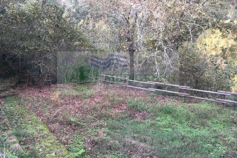 Villa i Sever do Vouga, Aveiro, Sever do Vouga - € 245.000 | Ref: CAS_1768 - foto 11