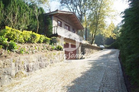 Farm i Barcelos, Braga, Barcelos - € 750.000 | Ref: 240-Q-20545 - foto 18