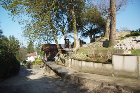 Farm i Barcelos, Braga, Barcelos - € 750.000 | Ref: 240-Q-20545 - foto 20