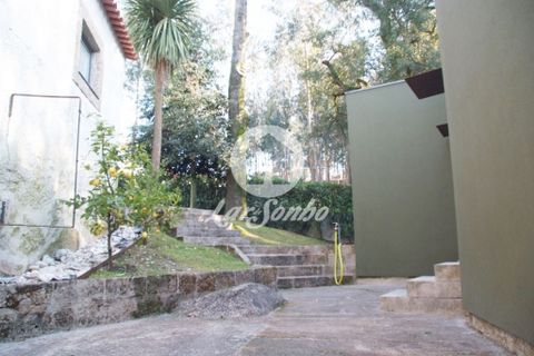 Farm i Barcelos, Braga, Barcelos - € 750.000 | Ref: 240-Q-20545 - foto 21