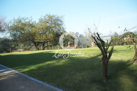 Farm i Barcelos, Braga, Barcelos - € 750.000 | Ref: 240-Q-20545 - foto 24