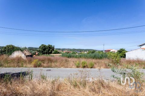 Terra a Mealhada, Aveiro, Mealhada - € 400.000 | Ref: 146376 - foto 2