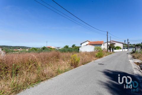 Terra a Mealhada, Aveiro, Mealhada - € 400.000 | Ref: 146376 - foto 3