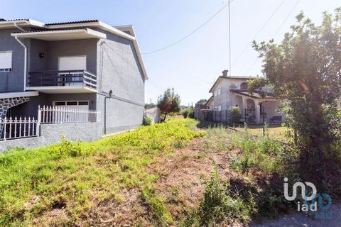 Terra a Mealhada, Aveiro, Mealhada - € 400.000 | Ref: 146376 - foto 4