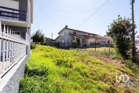 Terra a Mealhada, Aveiro, Mealhada - € 400.000 | Ref: 146376 - foto 5