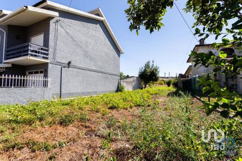 Terra a Mealhada, Aveiro, Mealhada - € 400.000 | Ref: 146376 - foto 6