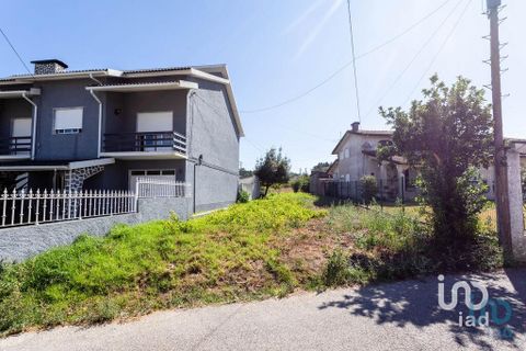 Terra a Mealhada, Aveiro, Mealhada - € 400.000 | Ref: 146376 - foto 7