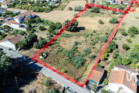 Terra a Mealhada, Aveiro, Mealhada - € 400.000 | Ref: 146376 - foto 8