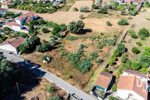 Terra a Mealhada, Aveiro, Mealhada - € 400.000 | Ref: 146376 - foto 9