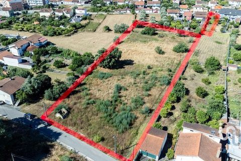 Terra a Mealhada, Aveiro, Mealhada - € 400.000 | Ref: 146376 - foto 10