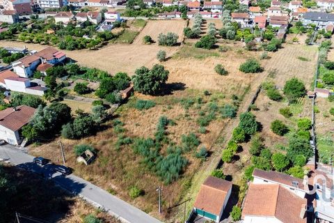 Terra a Mealhada, Aveiro, Mealhada - € 400.000 | Ref: 146376 - foto 11