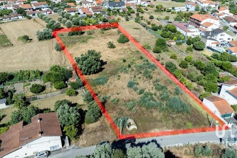 Terra a Mealhada, Aveiro, Mealhada - € 400.000 | Ref: 146376 - foto 12