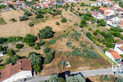 Terra a Mealhada, Aveiro, Mealhada - € 400.000 | Ref: 146376 - foto 13