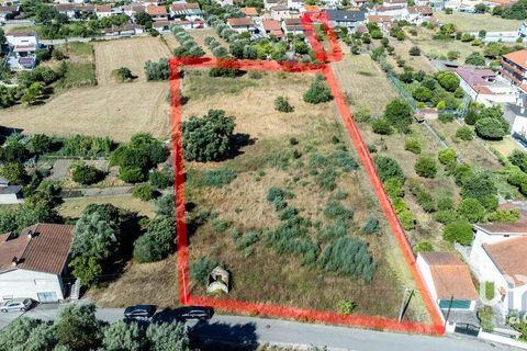 Terra a Mealhada, Aveiro, Mealhada - € 400.000 | Ref: 146376 - foto 14