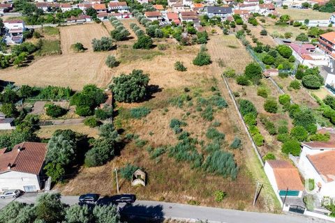 Terra a Mealhada, Aveiro, Mealhada - € 400.000 | Ref: 146376 - foto 15
