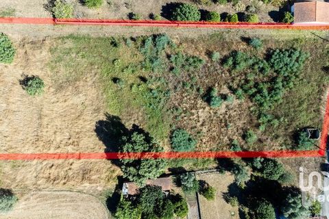 Terra a Mealhada, Aveiro, Mealhada - € 400.000 | Ref: 146376 - foto 16