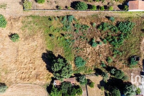Terra a Mealhada, Aveiro, Mealhada - € 400.000 | Ref: 146376 - foto 17