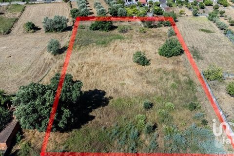 Terra a Mealhada, Aveiro, Mealhada - € 400.000 | Ref: 146376 - foto 18