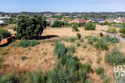 Terra a Mealhada, Aveiro, Mealhada - € 400.000 | Ref: 146376 - foto 20
