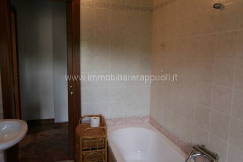 Leilighet i Trequanda, Siena, Trequanda - € 150 000 | Ref: AP58 - foto 7