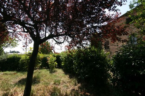 Lejlighed i Sinalunga, Siena, Sinalunga - € 75.000 | Ref: AP179 - foto 35
