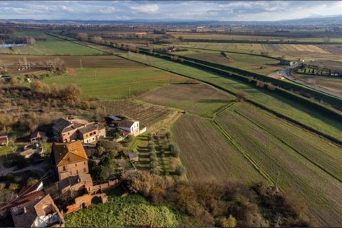 Lejlighed i Sinalunga, Siena, Sinalunga - € 82.000 | Ref: AP183 - foto 4