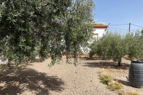 Byhus i Sorbas, Almeria, Sorbas - € 200.000 | Ref: CAL434 - foto 50