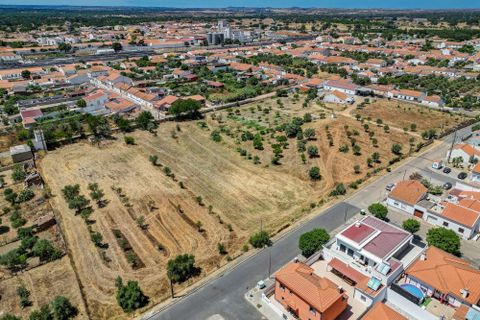 Farm hus i Ermidas do Sado, Setubal, Ermidas do Sado - € 2.000.000 | Ref: C0222-06384 - foto 7