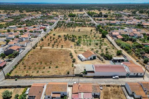 Farm hus i Ermidas do Sado, Setubal, Ermidas do Sado - € 2.000.000 | Ref: C0222-06384 - foto 12