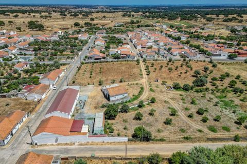 Farm hus i Ermidas do Sado, Setubal, Ermidas do Sado - € 2.000.000 | Ref: C0222-06384 - foto 14