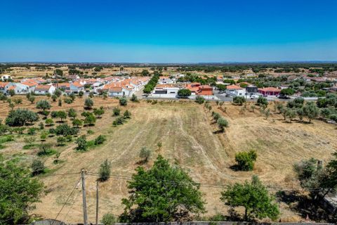 Farm hus i Ermidas do Sado, Setubal, Ermidas do Sado - € 2.000.000 | Ref: C0222-06384 - foto 18