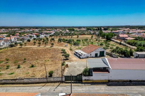 Farm hus i Ermidas do Sado, Setubal, Ermidas do Sado - € 2.000.000 | Ref: C0222-06384 - foto 24