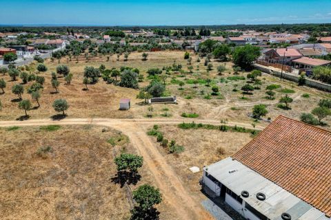 Farm hus i Ermidas do Sado, Setubal, Ermidas do Sado - € 2.000.000 | Ref: C0222-06384 - foto 26