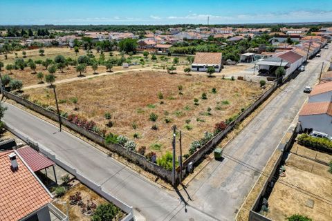 Farm hus i Ermidas do Sado, Setubal, Ermidas do Sado - € 2.000.000 | Ref: C0222-06384 - foto 28