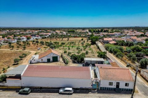 Farm hus i Ermidas do Sado, Setubal, Ermidas do Sado - € 2.000.000 | Ref: C0222-06384 - foto 29