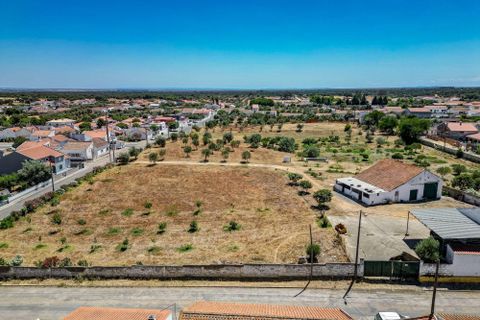 Farm hus i Ermidas do Sado, Setubal, Ermidas do Sado - € 2.000.000 | Ref: C0222-06384 - foto 30