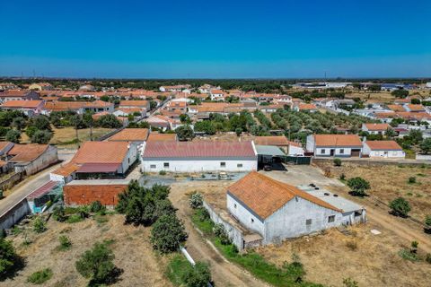 Farm hus i Ermidas do Sado, Setubal, Ermidas do Sado - € 2.000.000 | Ref: C0222-06384 - foto 31