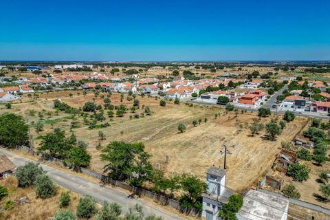 Farm hus i Ermidas do Sado, Setubal, Ermidas do Sado - € 2.000.000 | Ref: C0222-06384 - foto 38